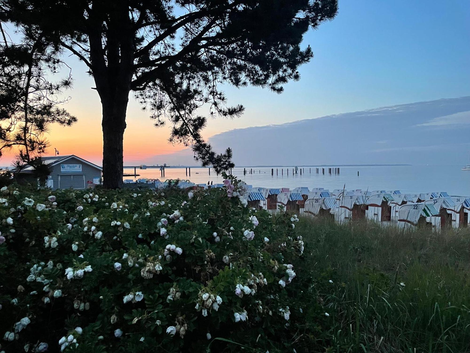 Appartment Bezaubernder Landblick Timmendorfer Strand Zewnętrze zdjęcie